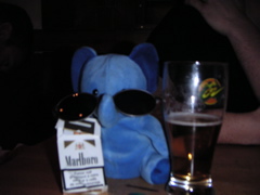 PICT0811.JPG